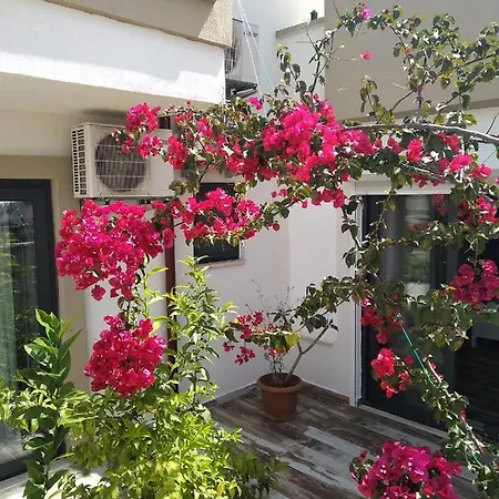 Sanisu Pansiyon Kaş Dış mekan fotoğraf