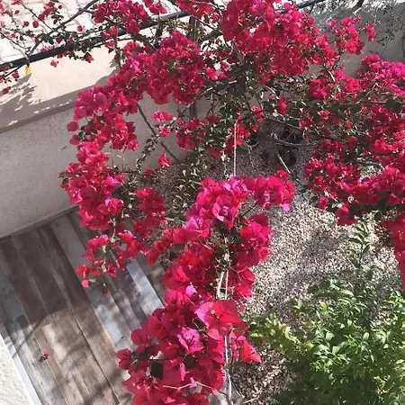 Sanisu Pansiyon Kaş Dış mekan fotoğraf